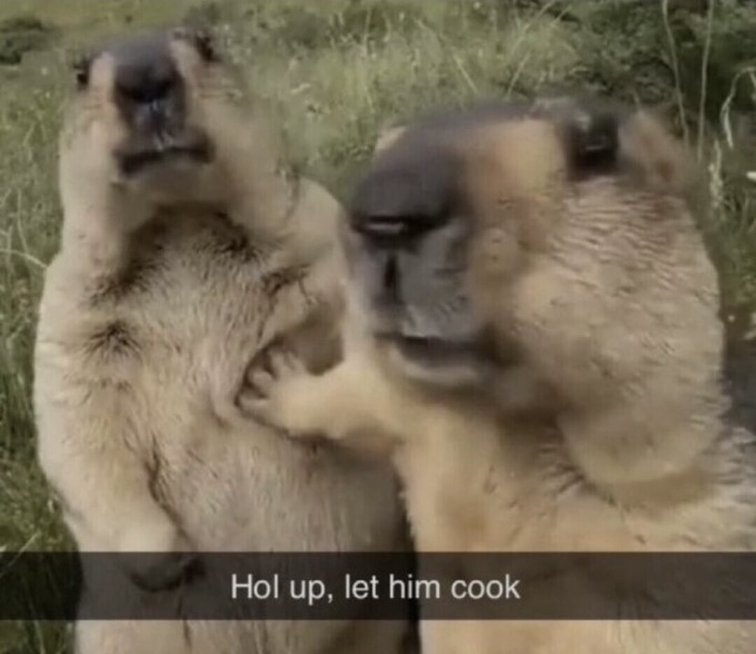 Let Him Cook