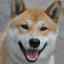 SHIBA