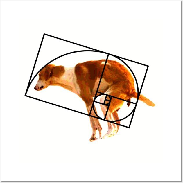 fibonacci dog (fibbo) - Pump