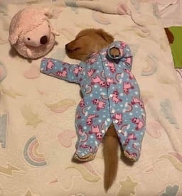 Slepi