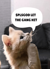 HUSL7h1uRfbhhABiFkRnGfTBqsYKLC1HTeb9sWDYMmzm's profile picture