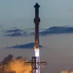 ELON NEW PFP