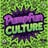 pumpfunculture's profile picture