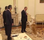 PUTINS DOG