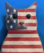 AMERICAT