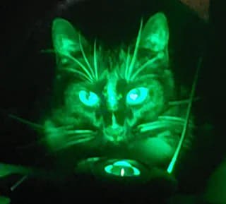 UV