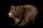 Wombat