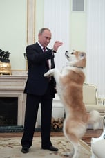 Putin's Dog