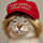 CATRUMP