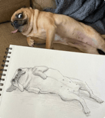 portrait
