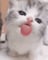 idkbru's profile picture
