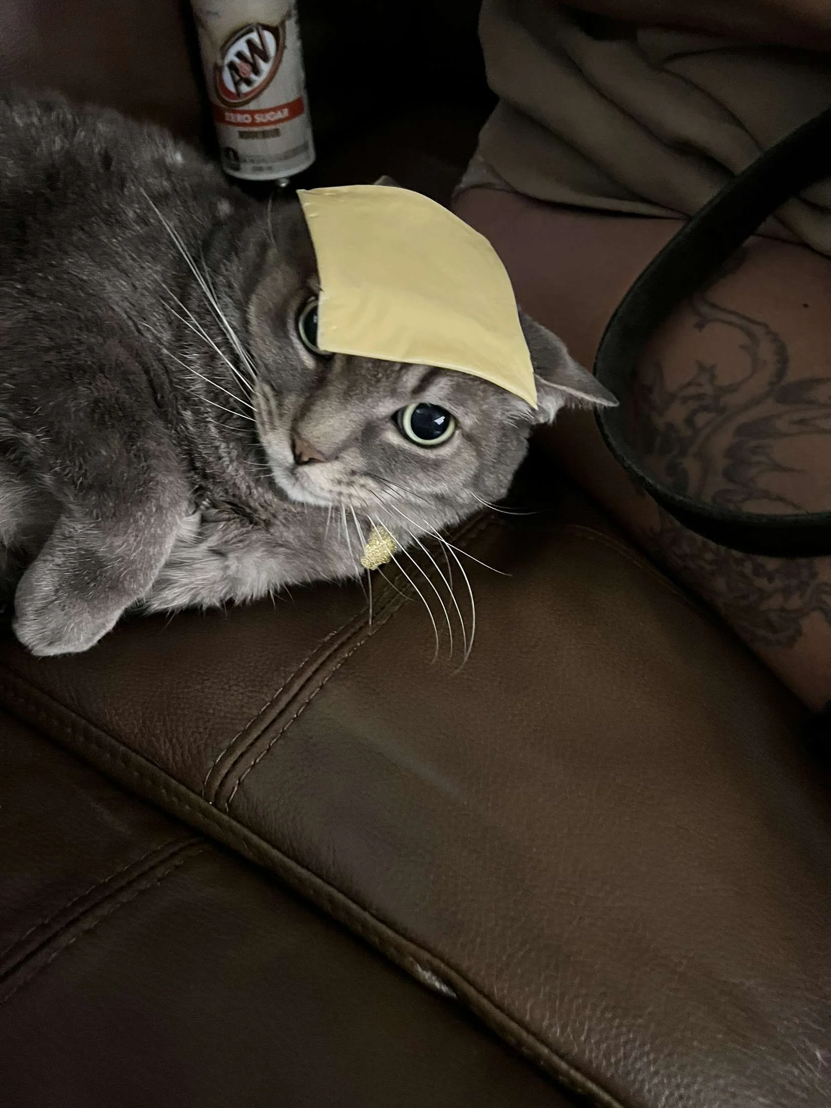 Cheese cate