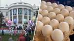 EGG HUNT