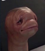 Not a Frog