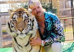 Tiger King 
