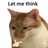 st0rmrage's profile picture