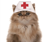 I Will Heal The Market