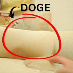 Invisible Doge