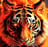 kiwan675's profile picture