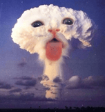 BOMB