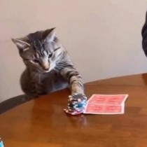 All In