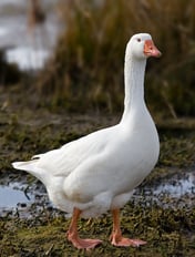 CR5vdopBY7xfjVb2iSLLjDPyKDZcbZYwatS6xAbFAyw1's profile picture