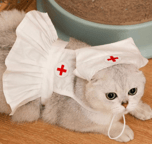 Medic cat