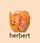 herbert