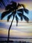 pumpfuncafe's profile picture