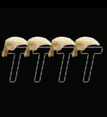 Tariff Tariff Tariff Tariff