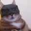 BATCAT