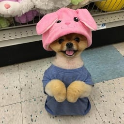 JIFF