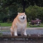 nok