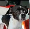 Justice For Max