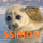 SIMON