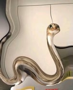 SNAKE CAT