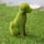 grassdog