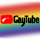 GAYTUBE