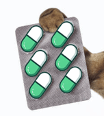 market's dead, send this med