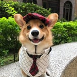 Nokky