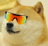 namekitty's profile picture