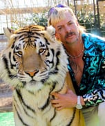 Tiger king 