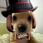 Billy Wonka