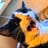 wildshrimplabor's profile picture