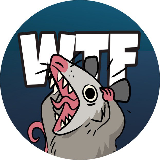 WTF Opossum 