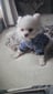 torquemomma's profile picture