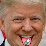 TrumpFun