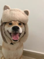 Ruben The Dog
