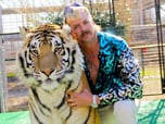 TigerKIng