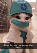 MEDICO